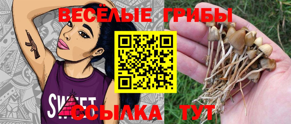 Киров  Галлюциногенные грибы GOLDEN TEACHER  Вход с VPN  Галлюциногенные грибы прущие грибы 