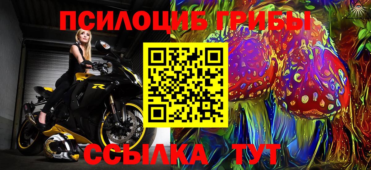 Псилоцибиновые грибы мухоморы Киров